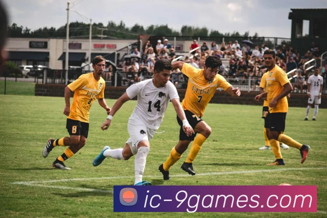 数据防护可视化